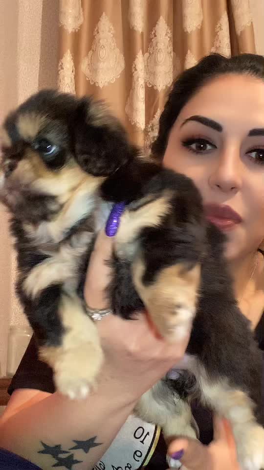 @Мулатка_грузинка💖🇬🇪🇦🇿🇧🇾