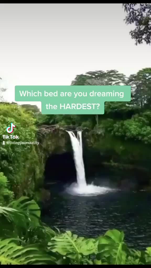 @livingyourreality