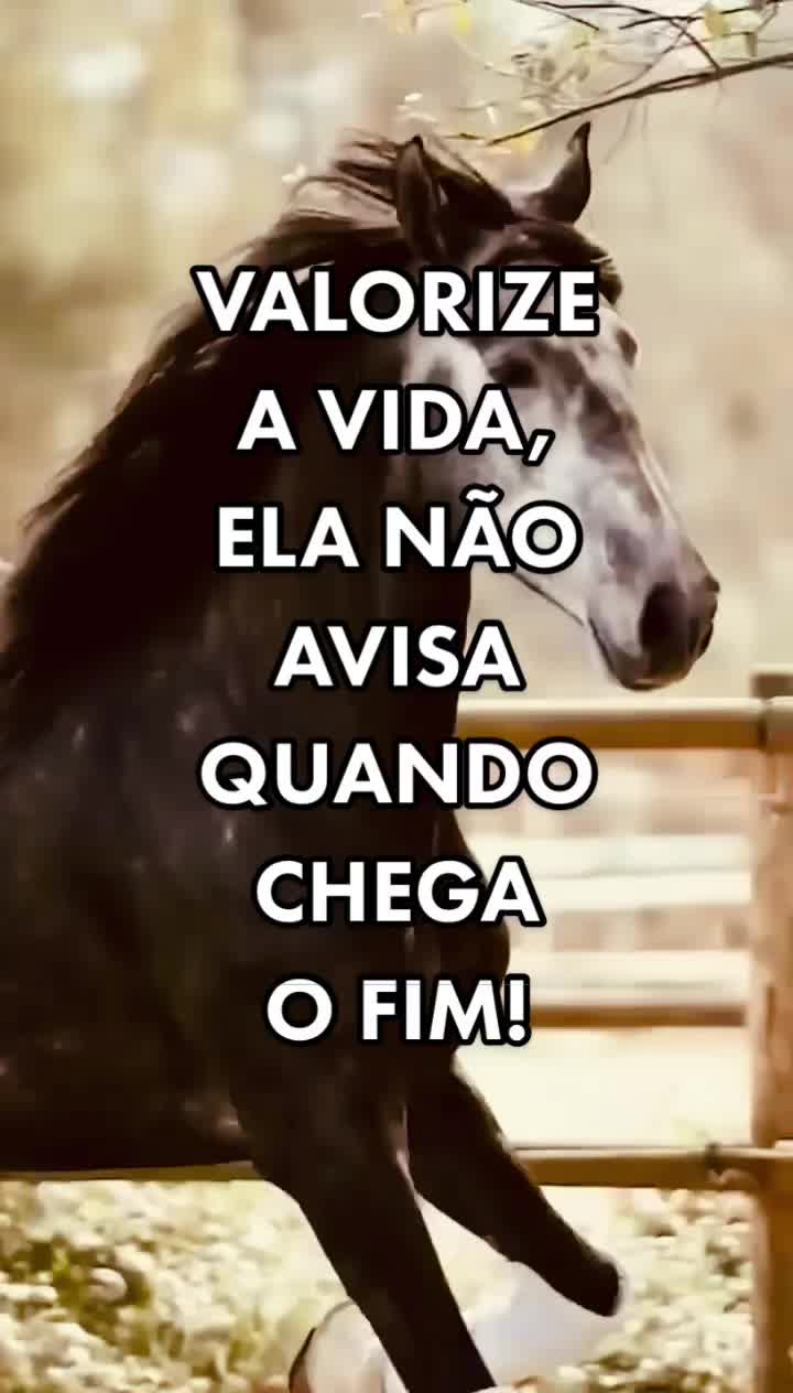 @Marcelo♐️🇧🇷