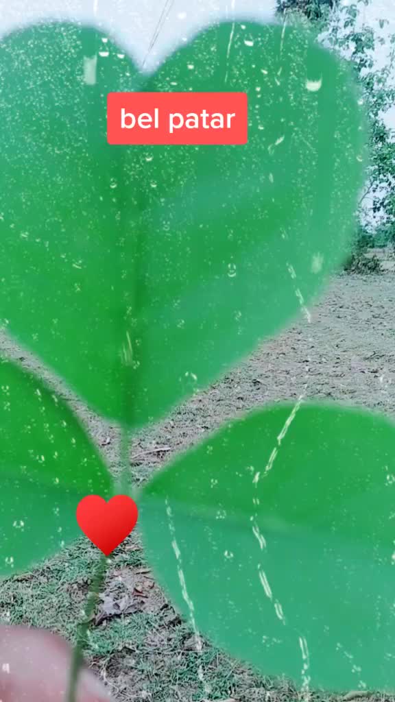@Mr..BhAnJaN😘😘