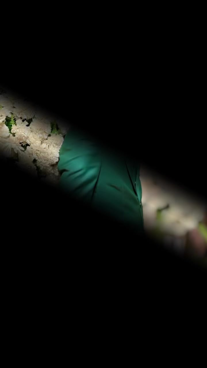 @سعد ریاض✨👑