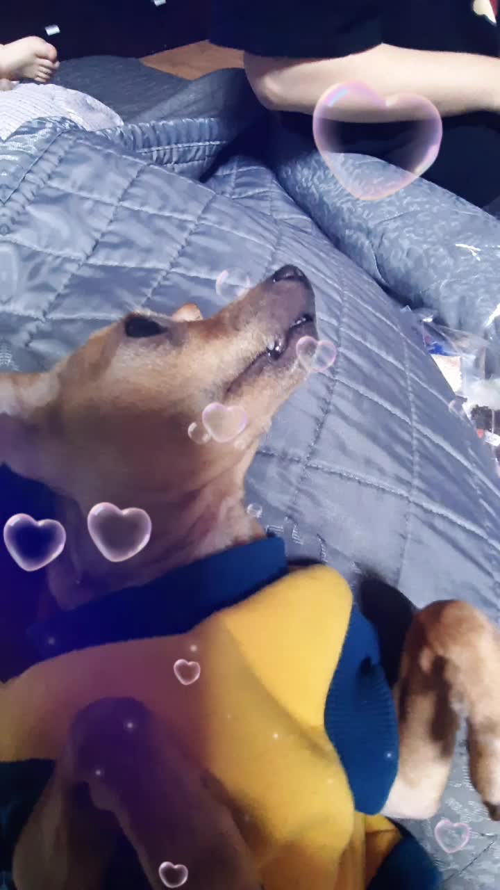 @기린♡!?