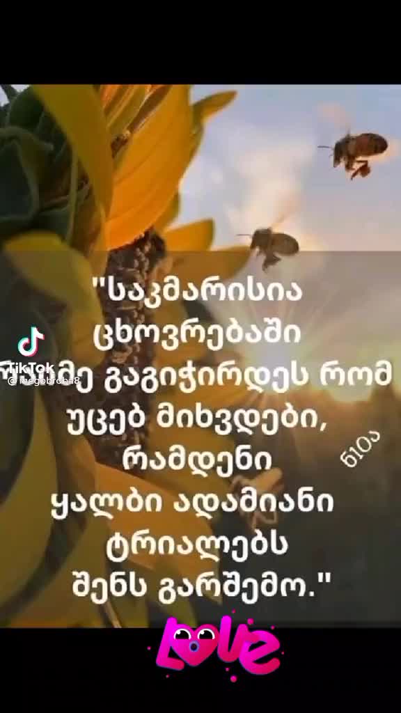 @spartaki