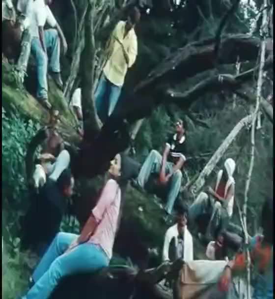 @nethulali
