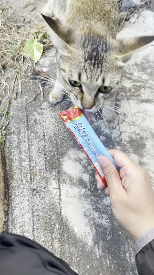@oahanji