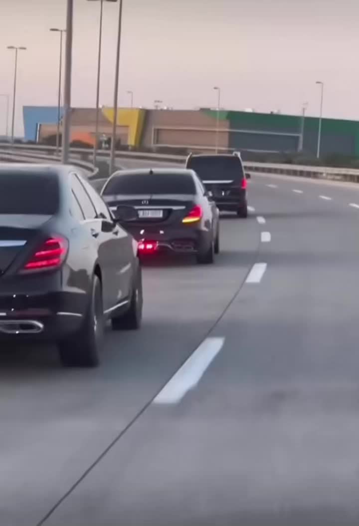 @⚜️اسد بني معروف ⚜️