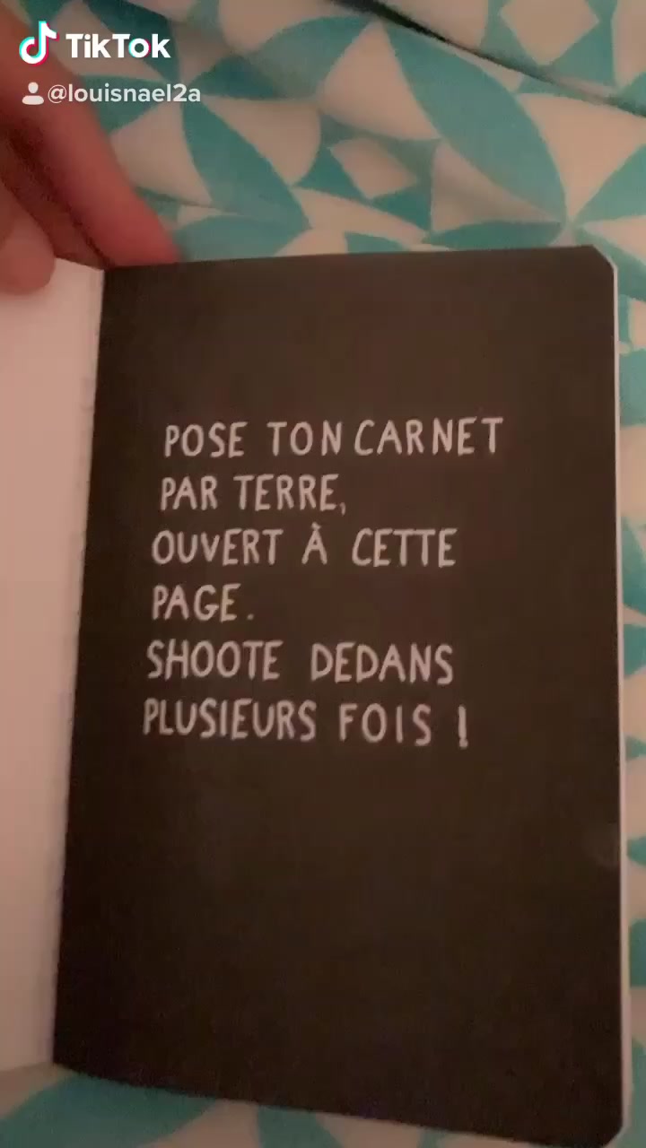 @Saccage.ce_carnet2a