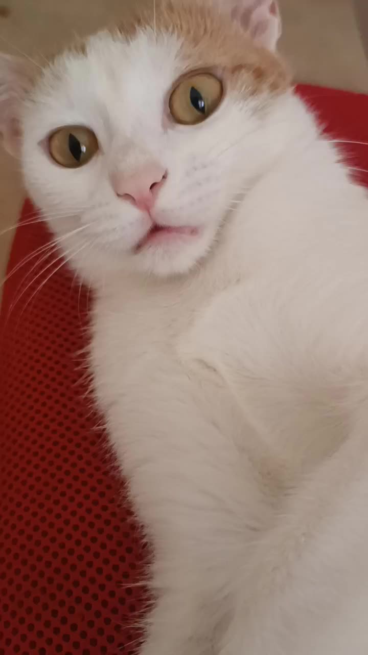 @.∞.
