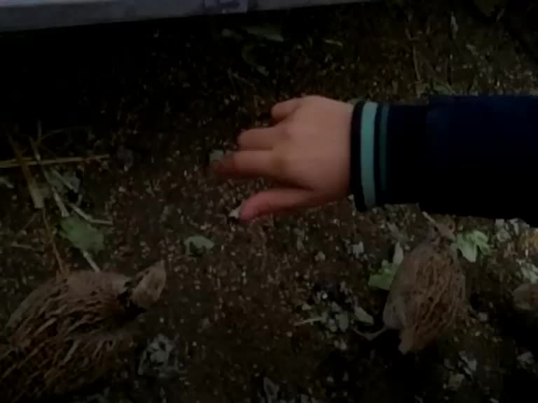 @_its_alinaaa_