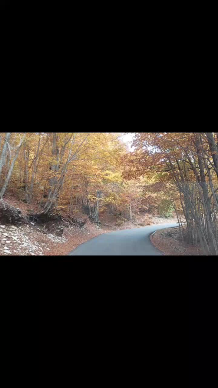 @Марко Килибарда