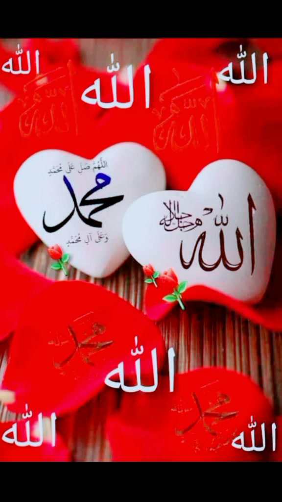 @MAILK🤠🤠 IMRAN___