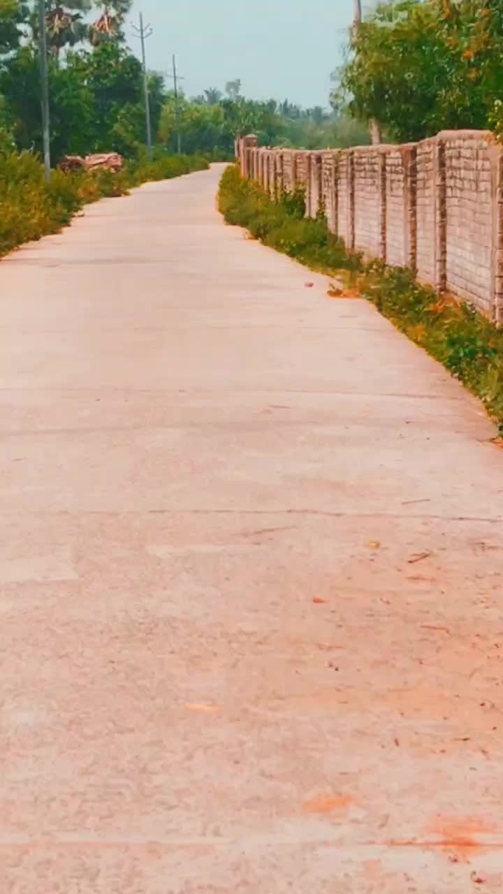 @🔥 PURI TOKA 🔥