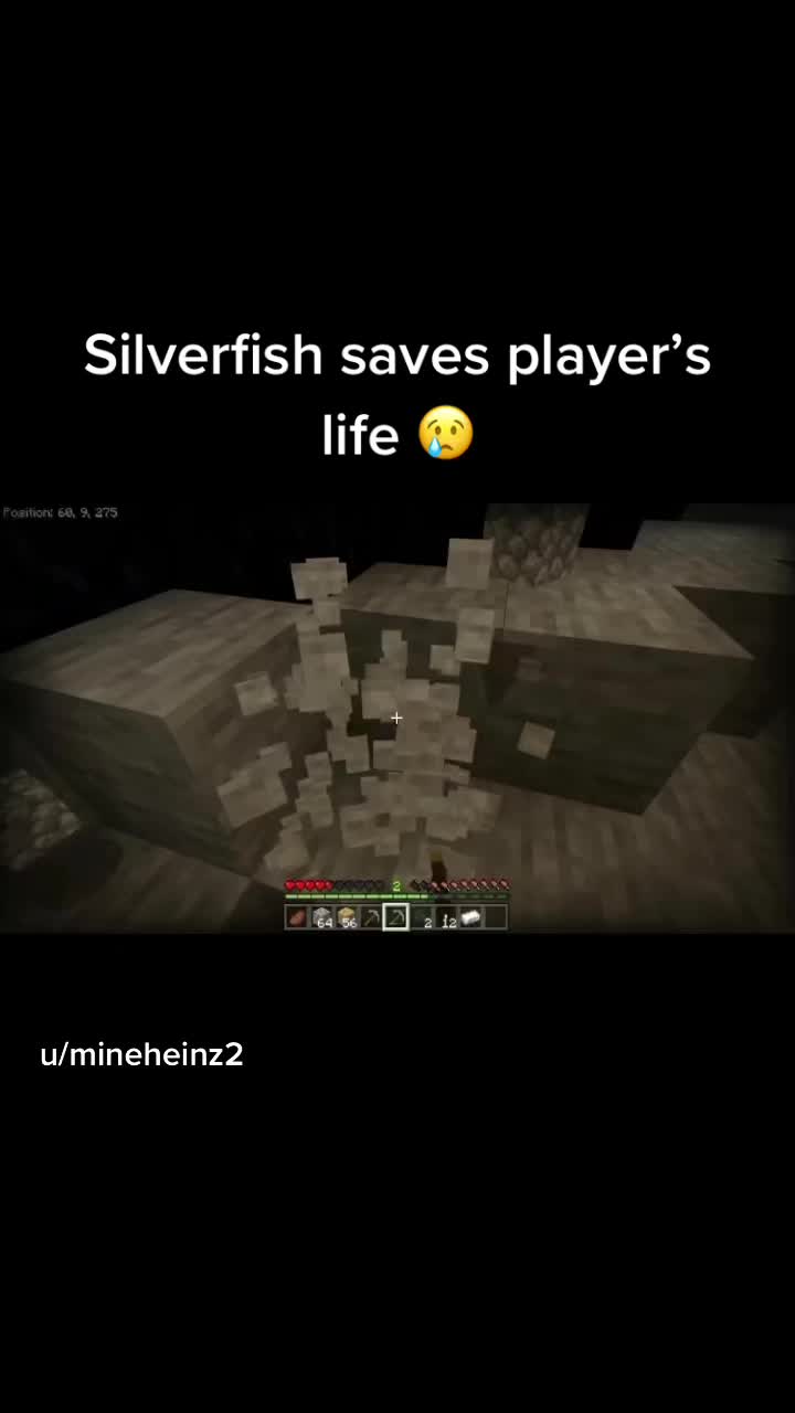@Fyp_Minecraft