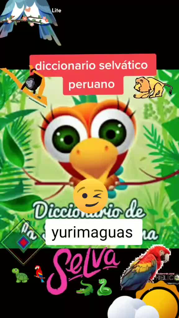 @TICTOKER OFICIAL YURI 🌴🌿🦜