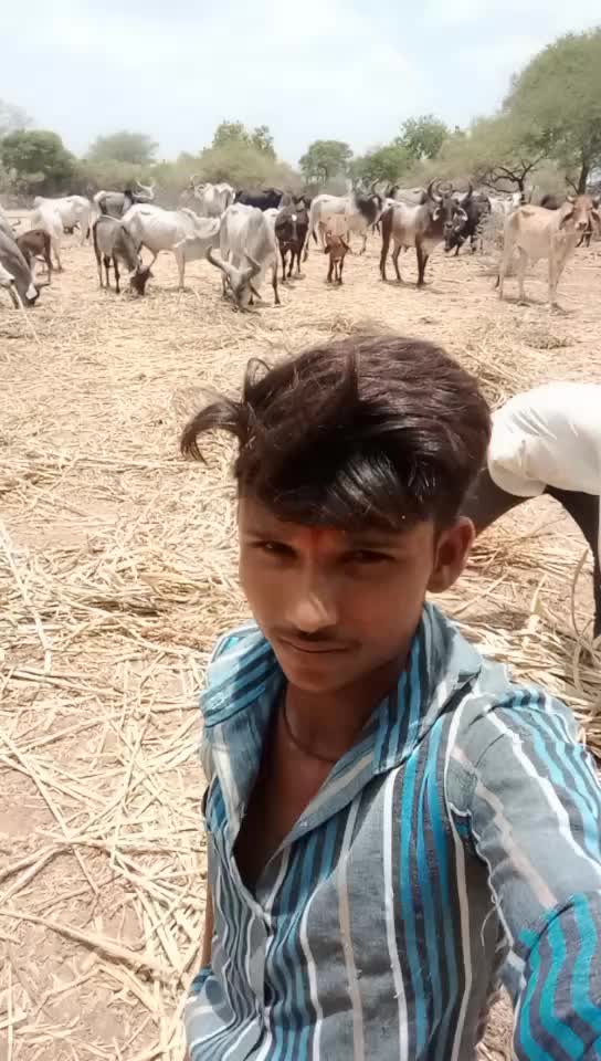 @Bharat Majiyatar42