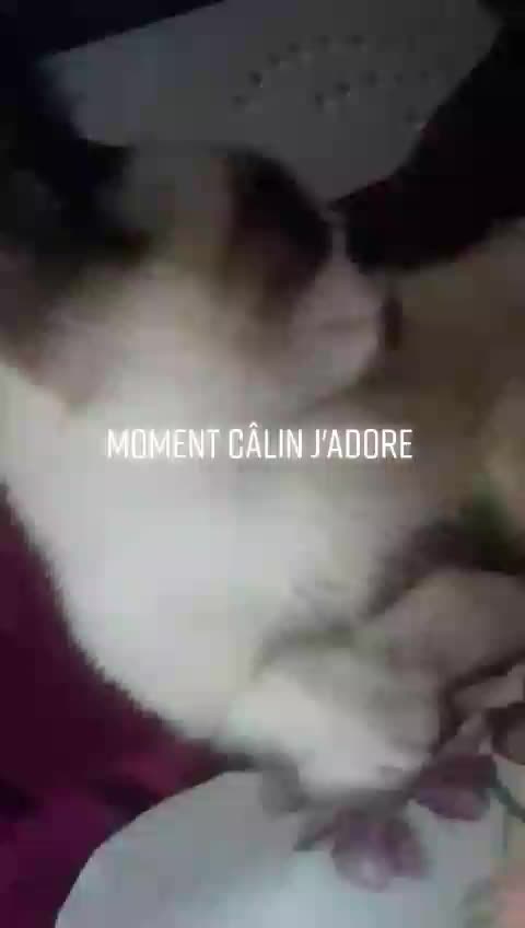 @Lisa ❤❤