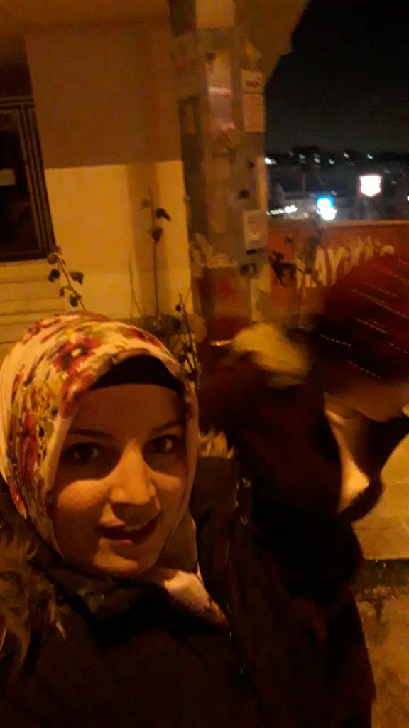 @demircisevgi326