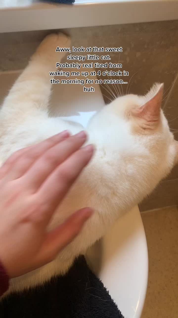 @Apollo