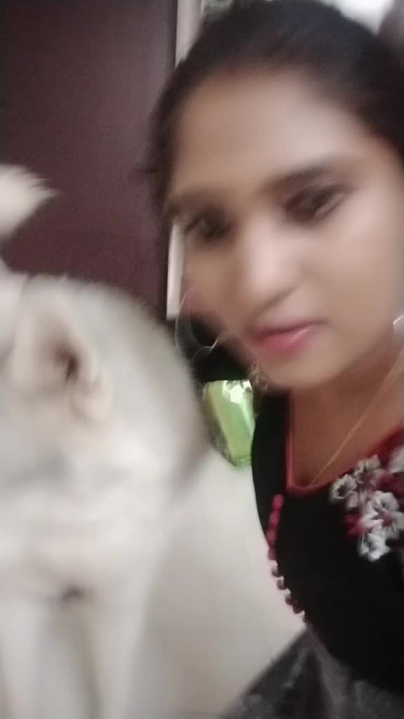 @user8868803908225