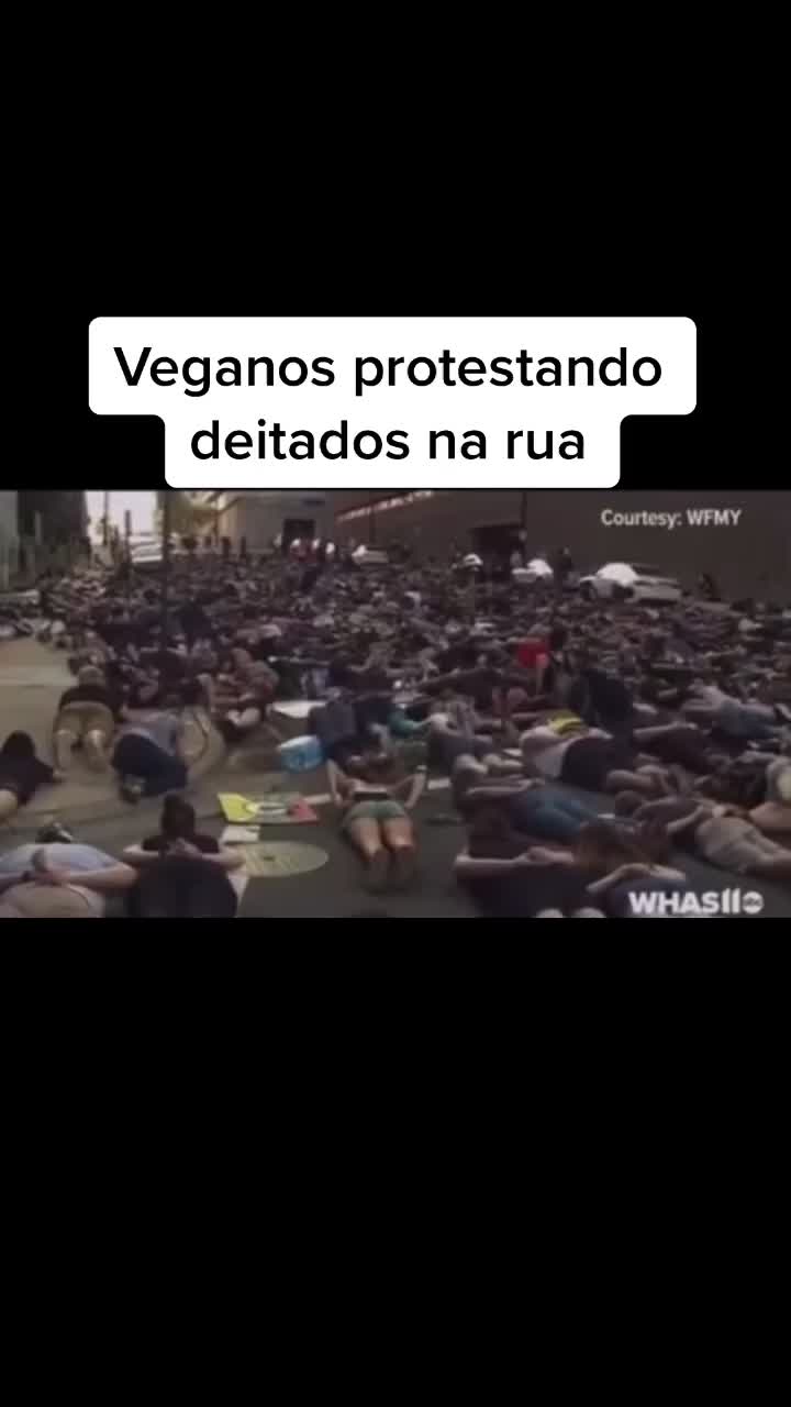 @Pedro Monte