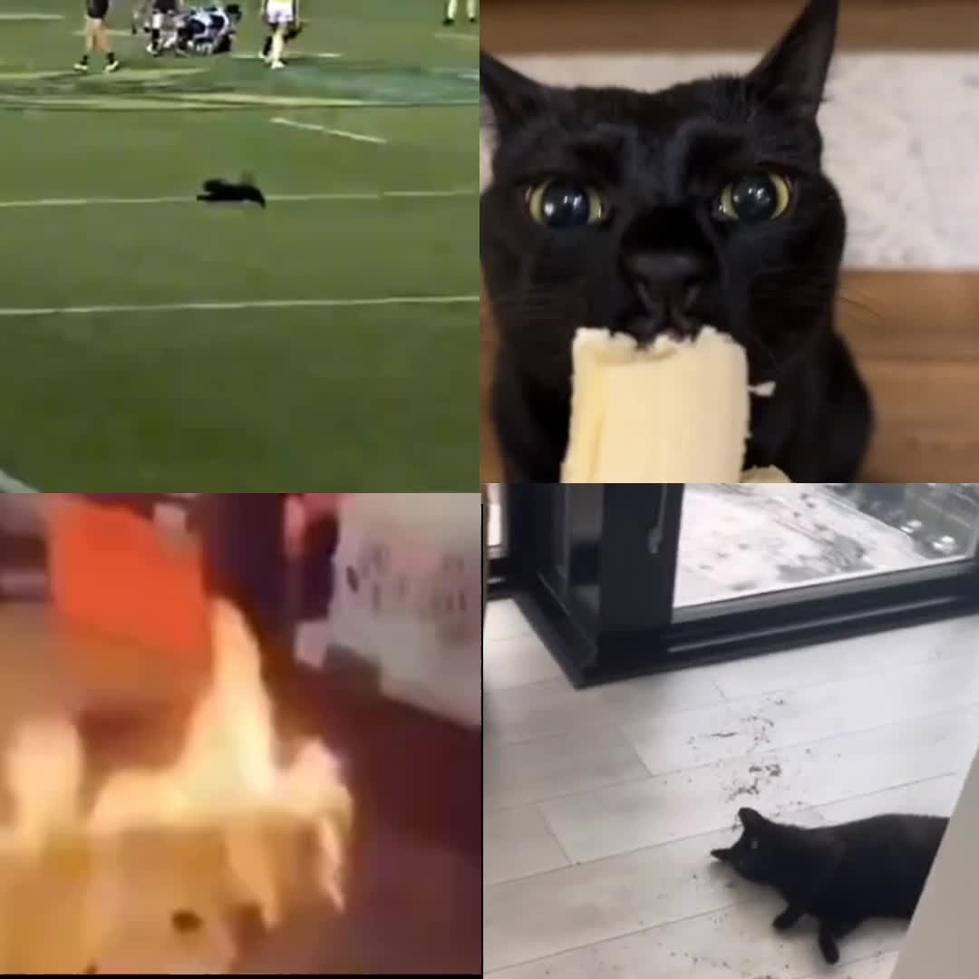 @⠀