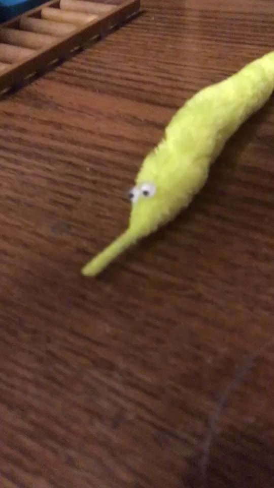 @worms4life