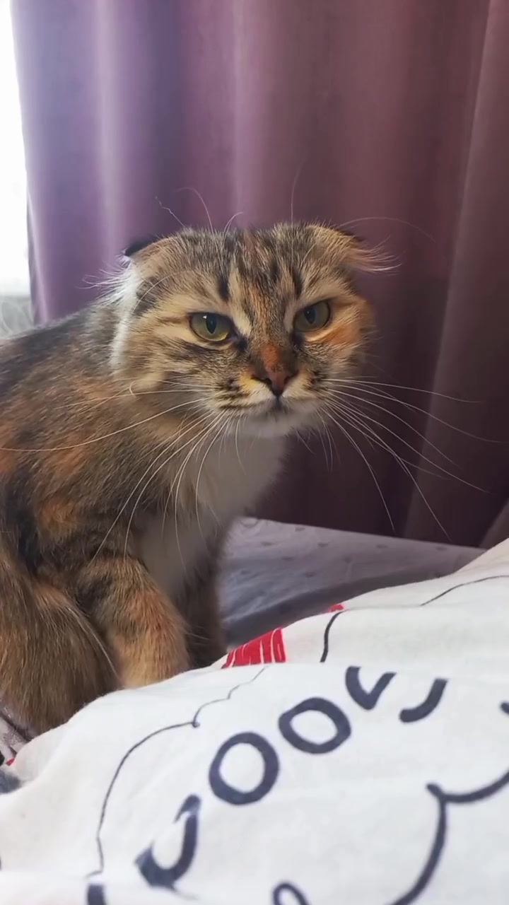 @фрося