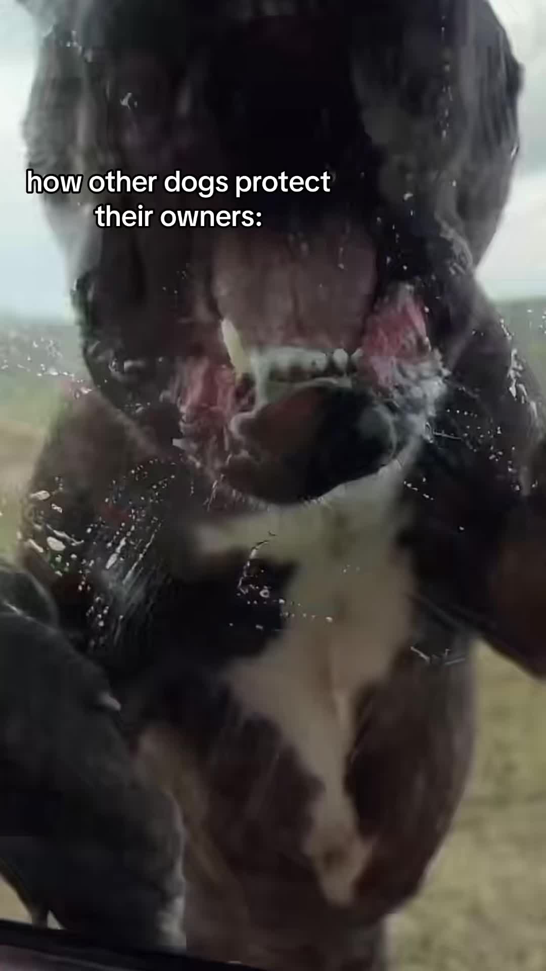 @𝐸𝓁𝒶..