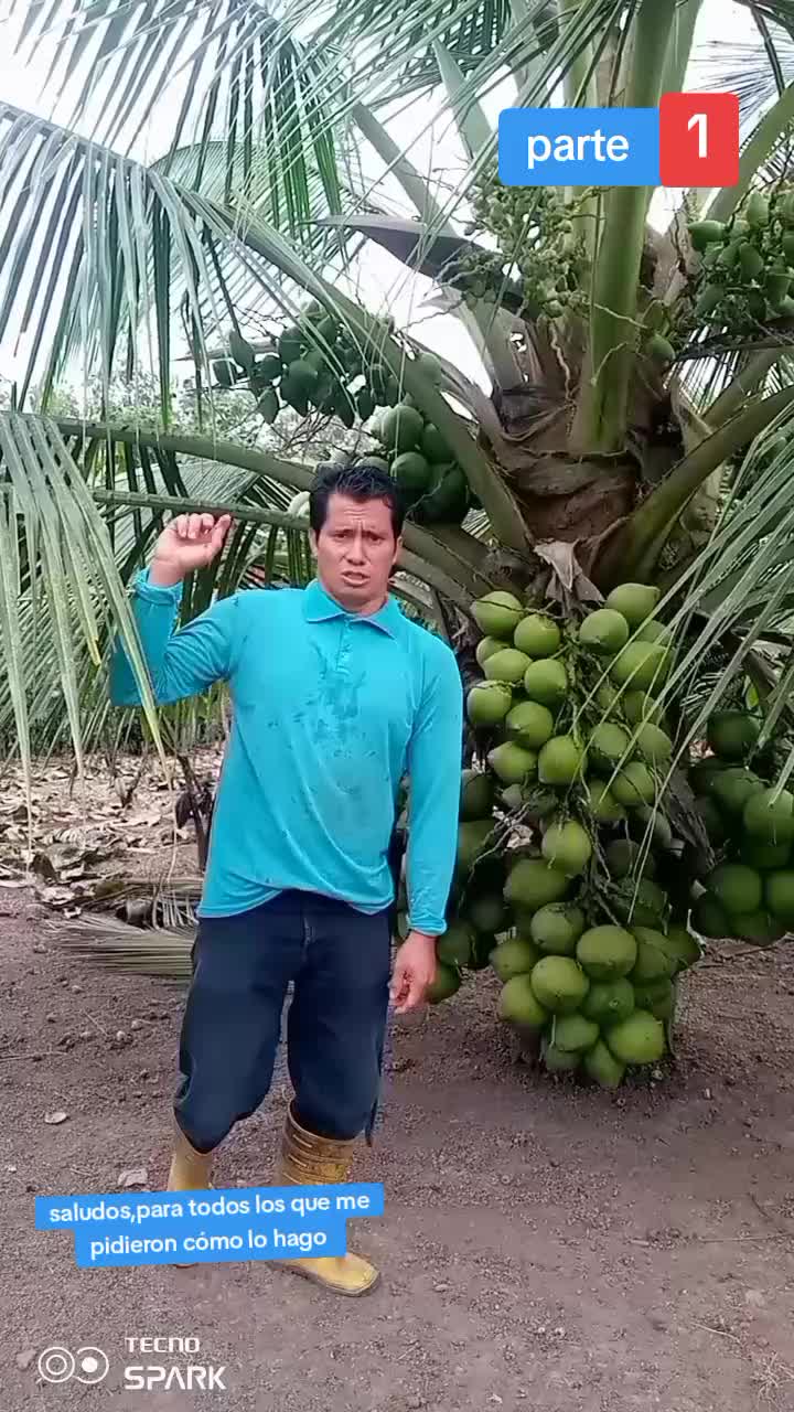 @Jairo desde el campo.