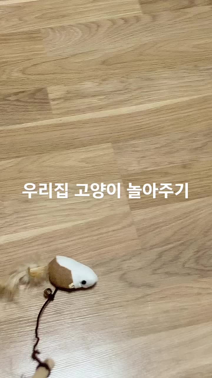 @입술계♥️