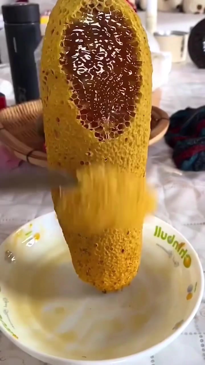 @Mahmutarslan