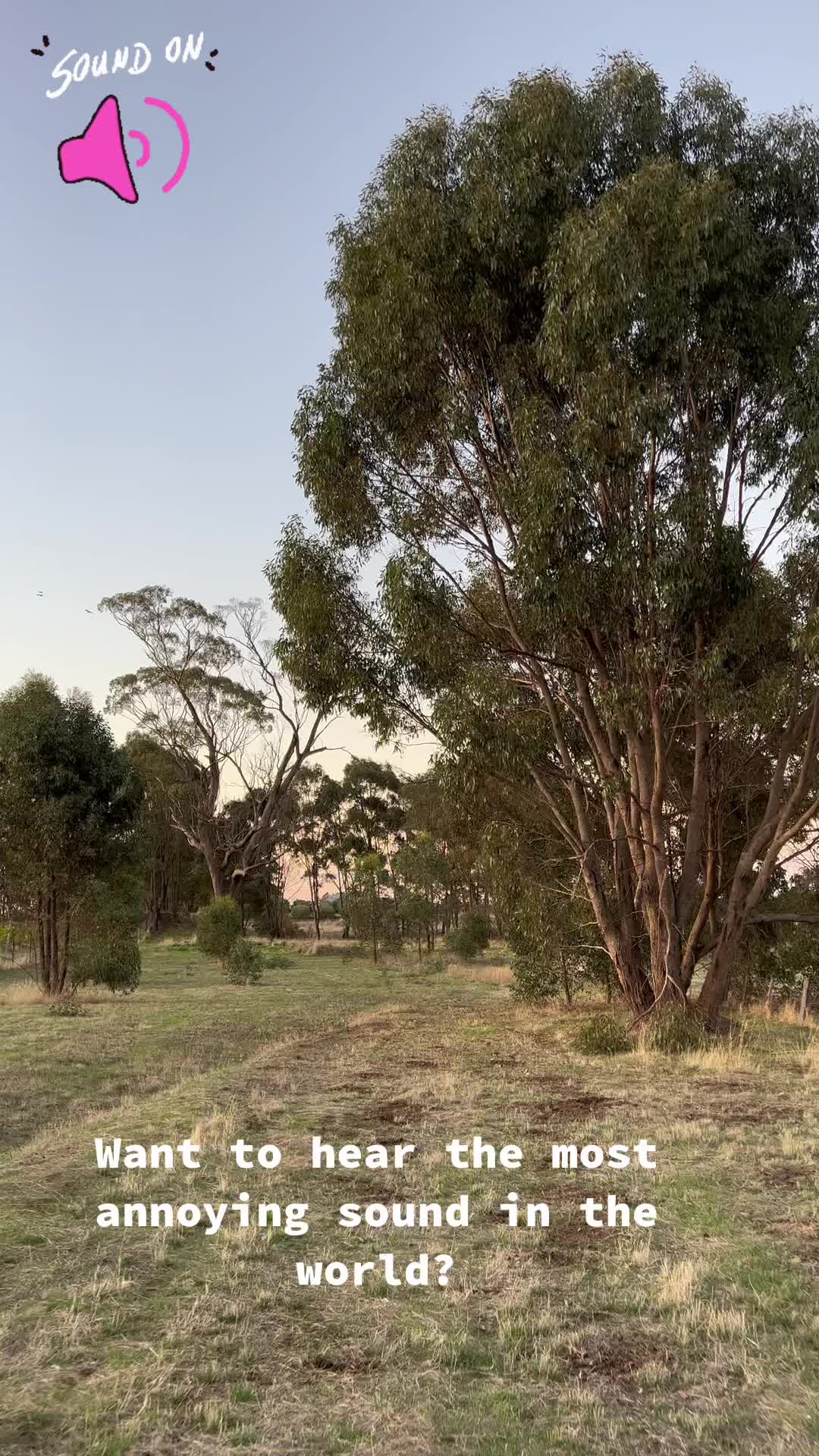 @Munari Wines Heathcote