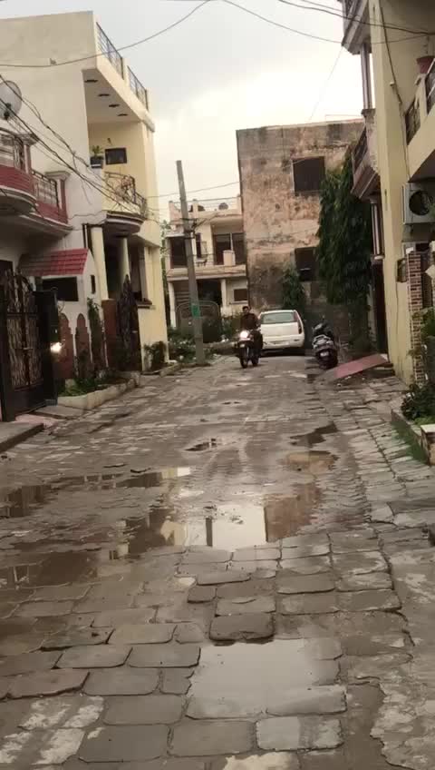 @Rishabh Mehta