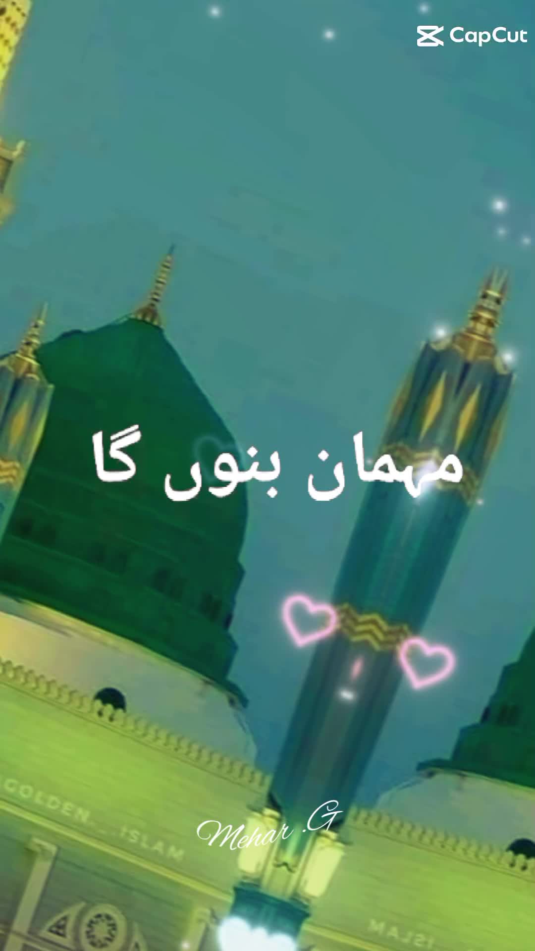 @RaisAyoub72