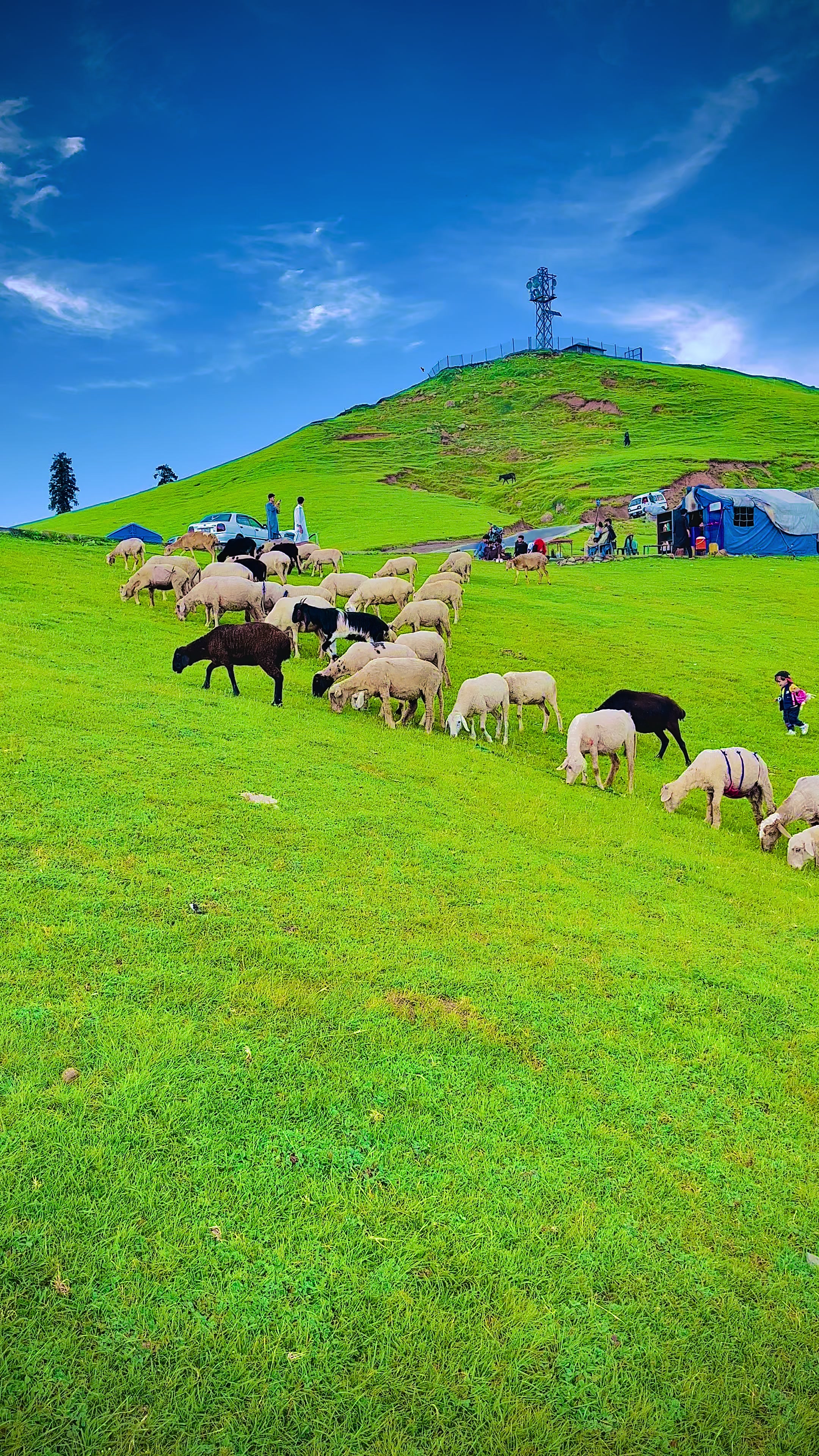 @Kashmir Valley ♥️
