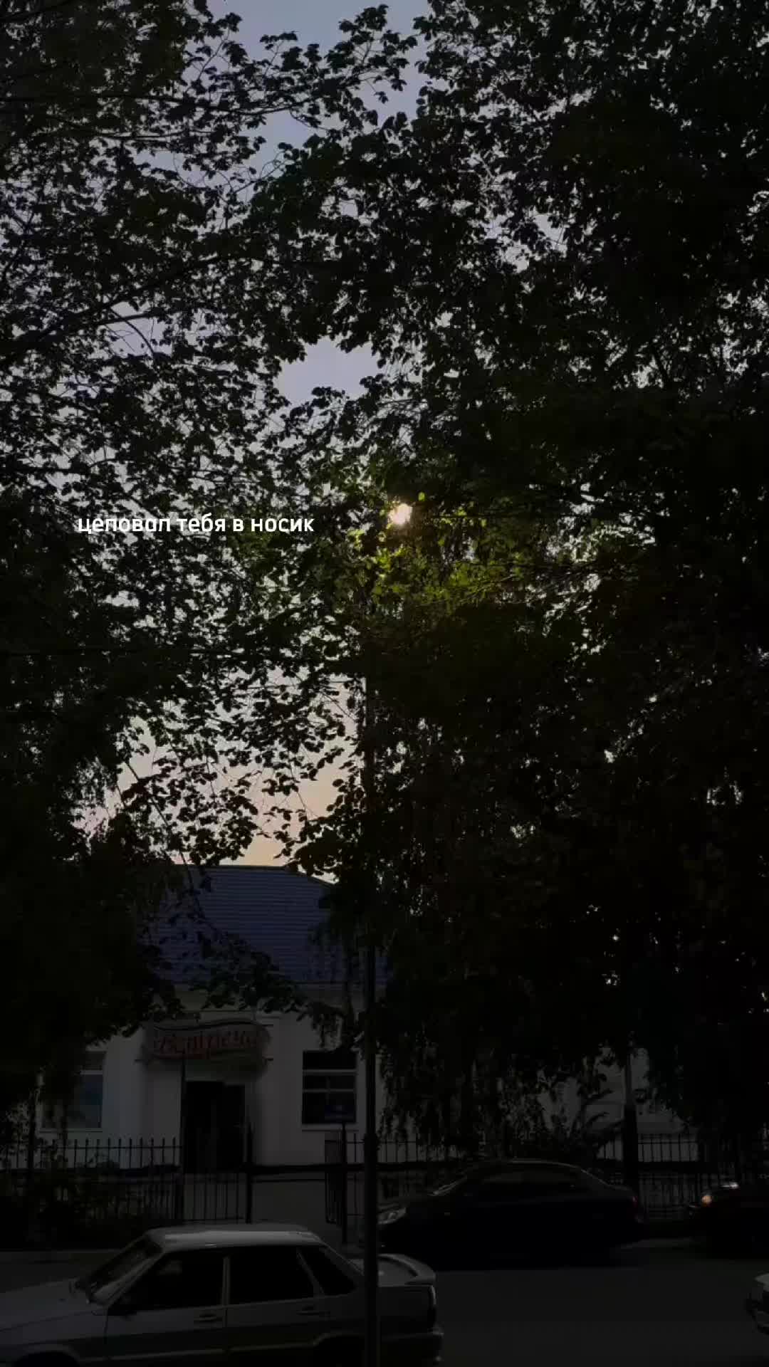 @тг: ночная улица 🚩