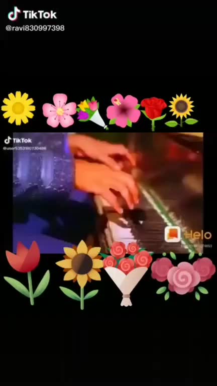 @shankarbevadi56