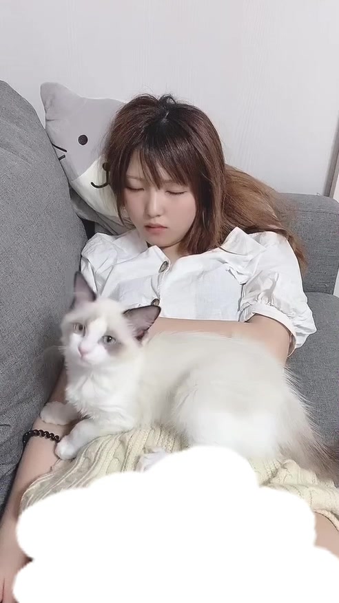 @はるまきちゃんねる