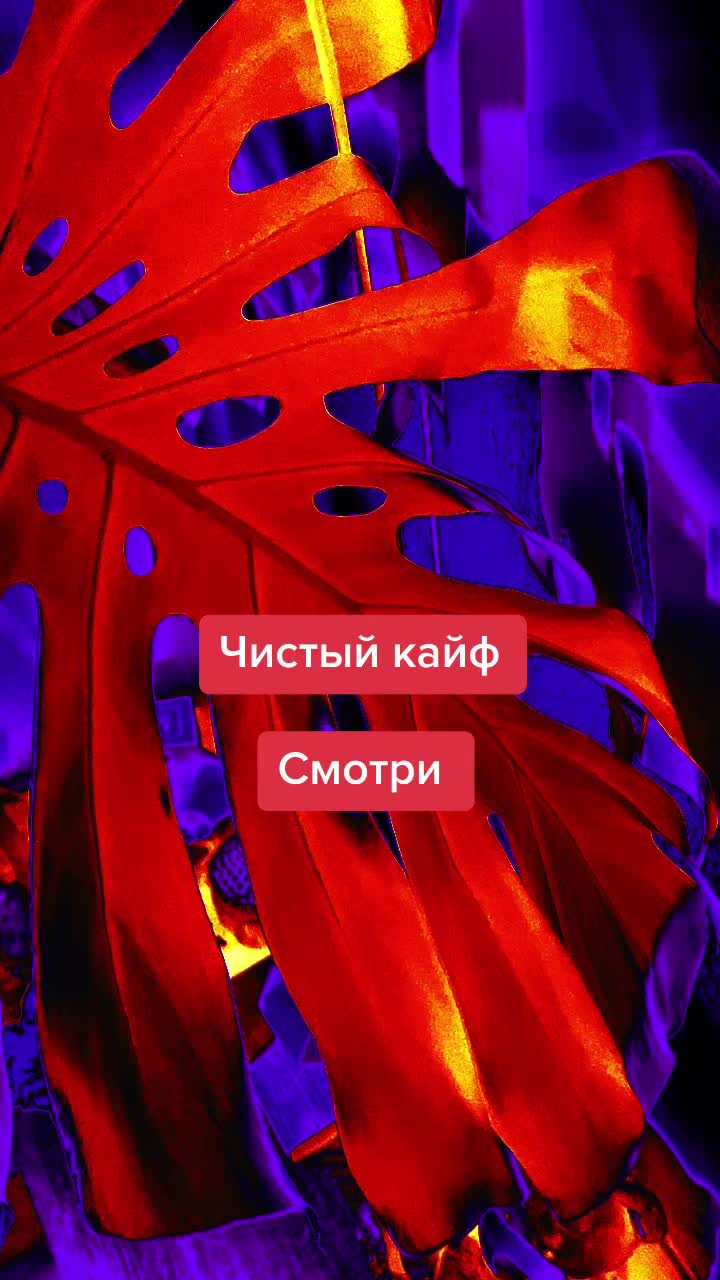@Елена 🌱 Рай можно купить