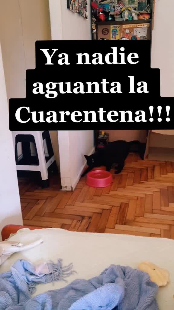 @elis.rg