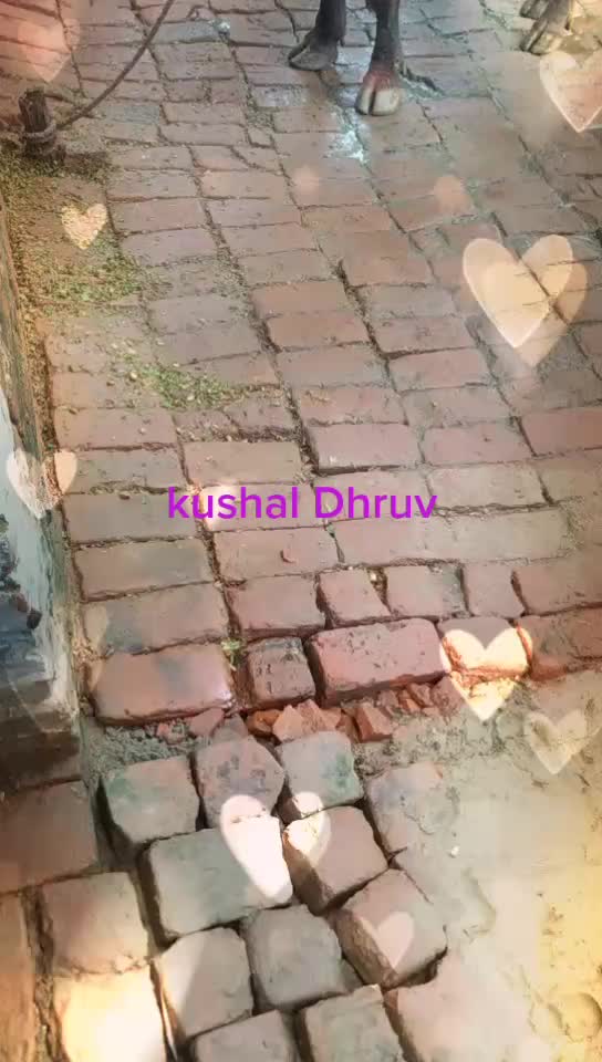 @Kushal Dhruv