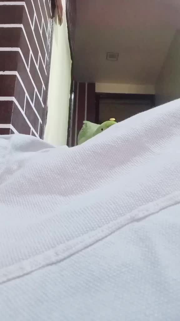 @Muskan Rajpoot