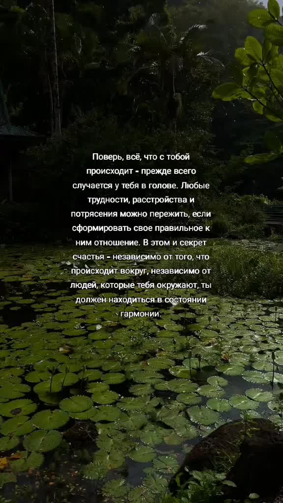 @🍀