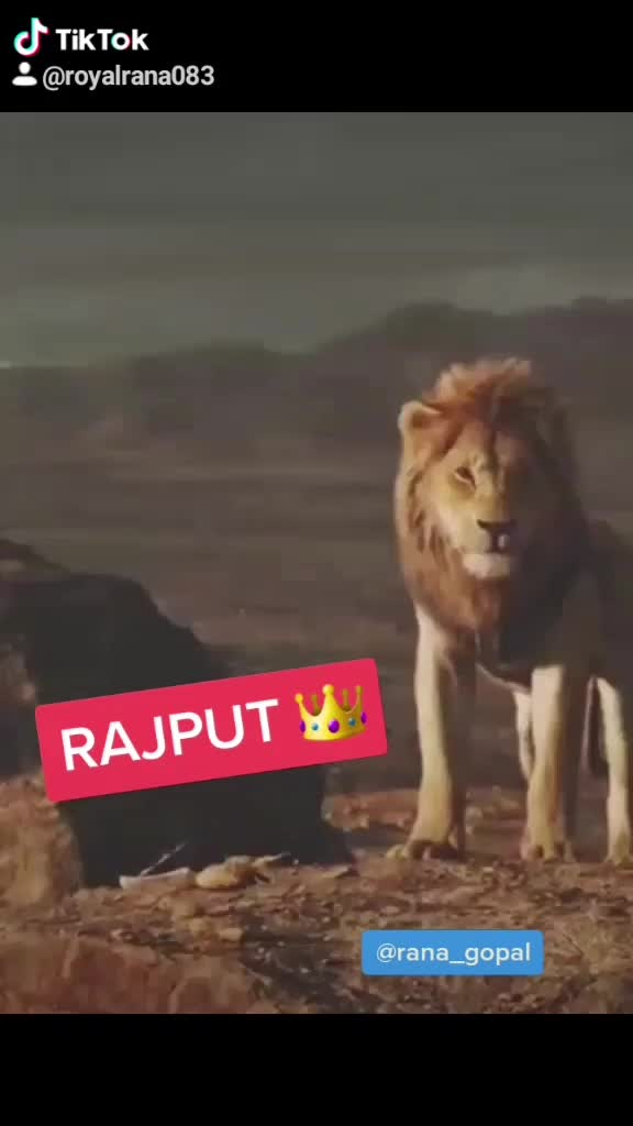 @Rajput..👑