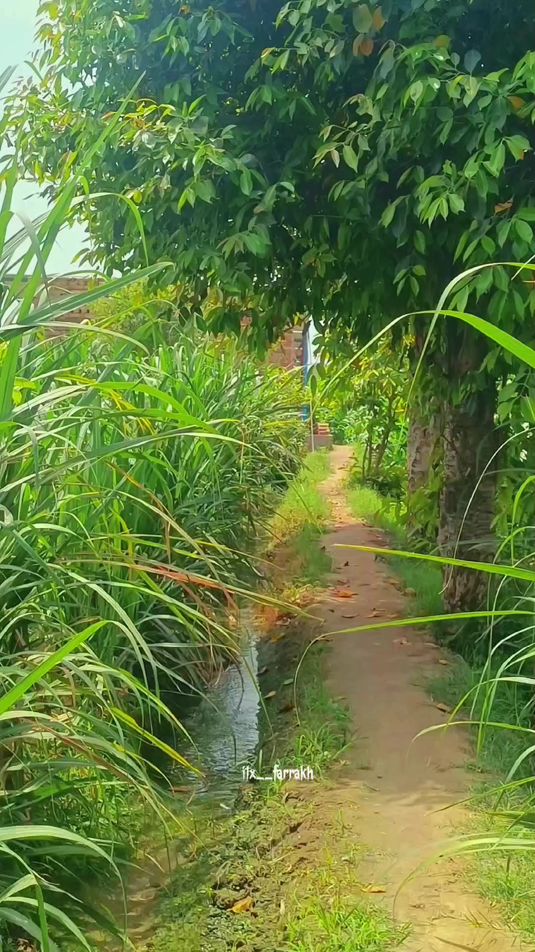 @Farrakh Kamboh