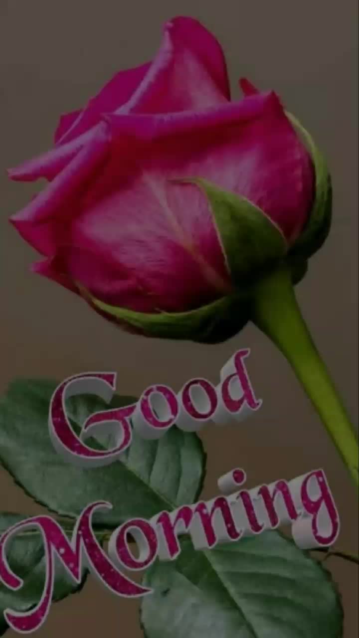 @Rajnesh Kumar