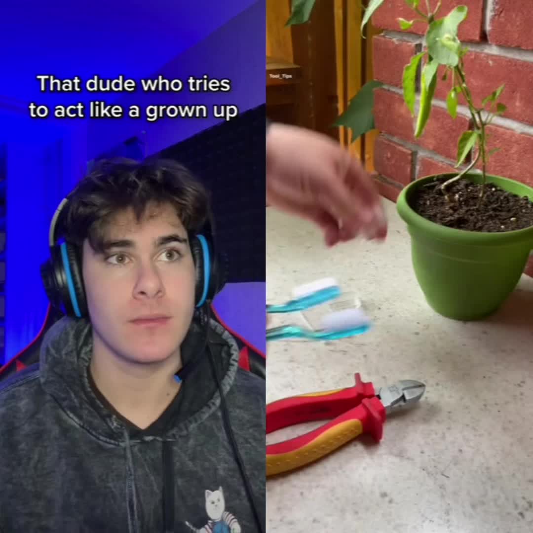 @lili