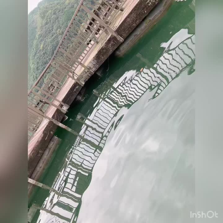 @アディ男軍団おじお 