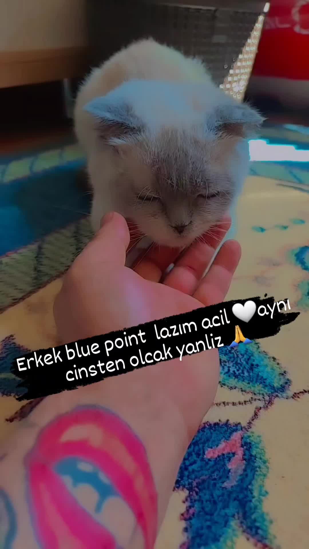 @F.a.T.i.H
