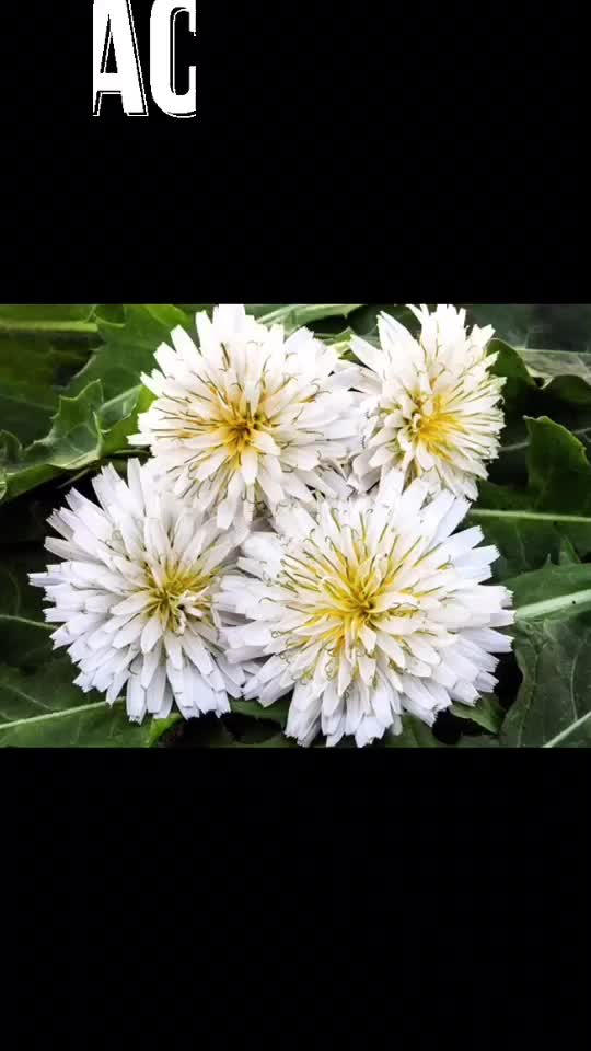 @user22210332786